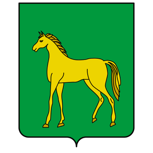 Официальный герб города Бронницы